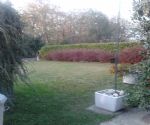 Villa Bi/Trifamiliare Vendita Como - 412_6.jpg