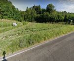 Terreno Agricolo in Vendita a Como